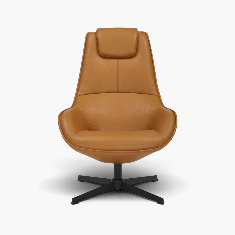 Fauteuils en cuir ou imitation cuir