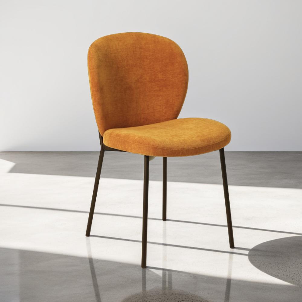 Chaises de salle à manger