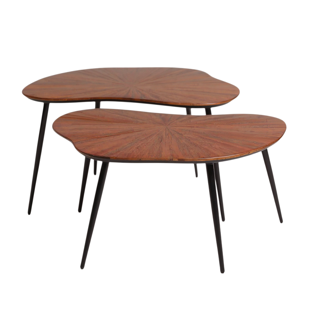 Table basse gigogne forme libre set de 2